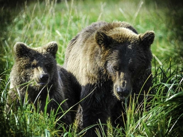 Katmia Alaska-15